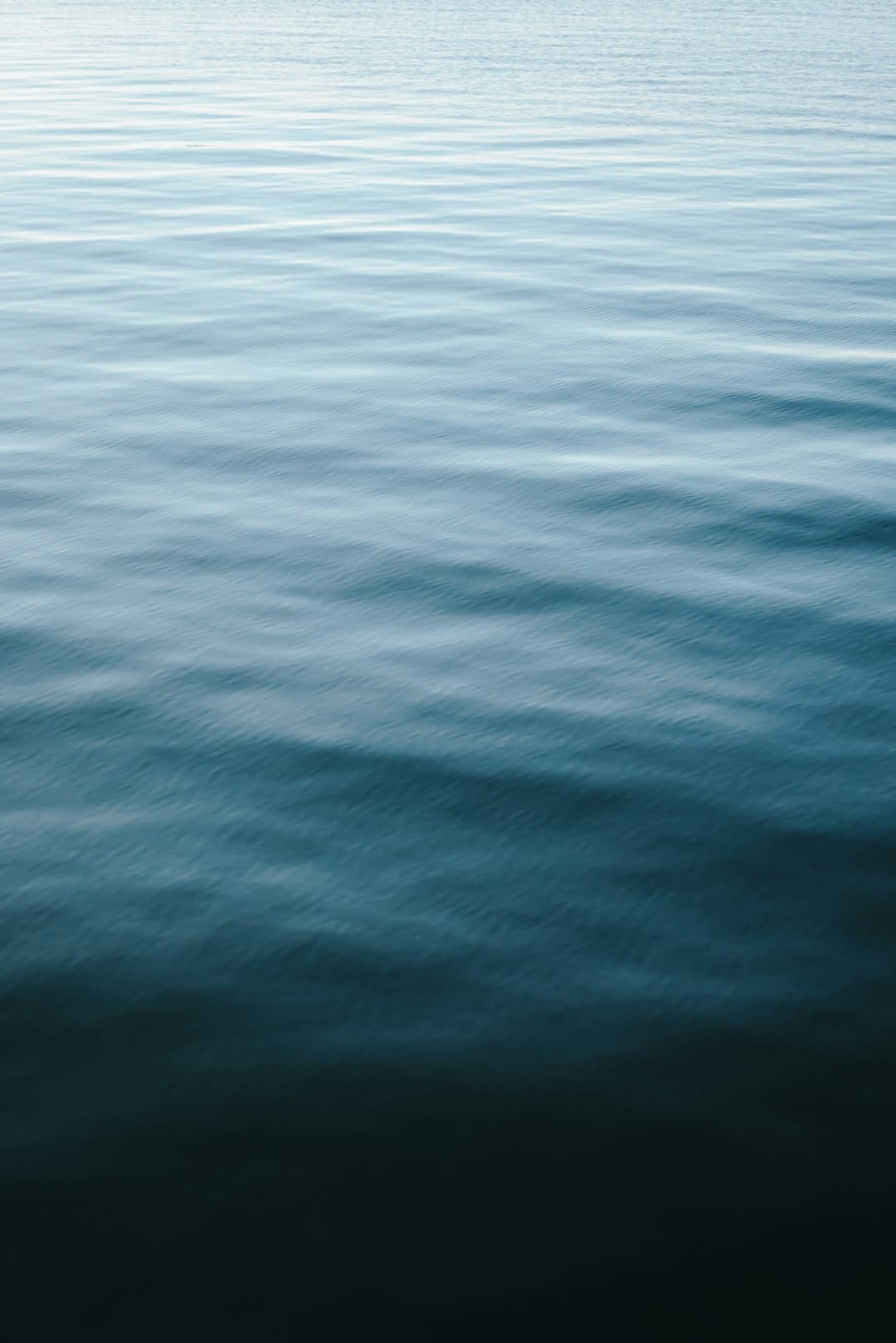 漳浦：告别排长龙 “潮汐窗口”高效灵活